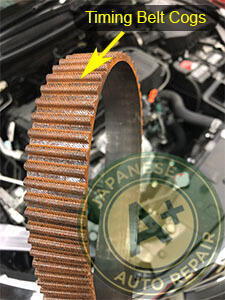 Find out more about your timing belt A close up of timing belt cogs provided by A+ Japanese Auto Repair in San Carlos, CA